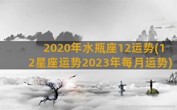 2020年水瓶座12运势(12星座运势2023年每月运势)