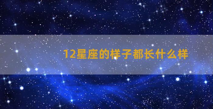 12星座的样子都长什么样