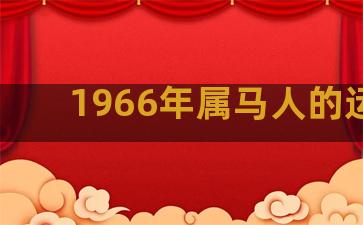 1966年属马人的运势