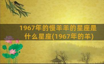 1967年的慢羊羊的星座是什么星座(1967年的羊)