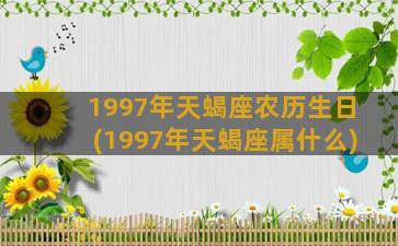 1997年天蝎座农历生日(1997年天蝎座属什么)