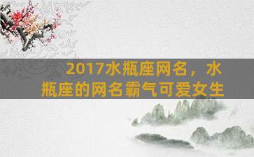 2017水瓶座网名，水瓶座的网名霸气可爱女生