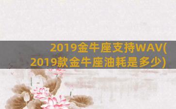 2019金牛座支持WAV(2019款金牛座油耗是多少)