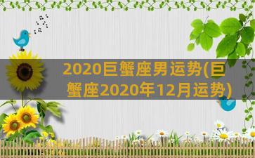 2020巨蟹座男运势(巨蟹座2020年12月运势)