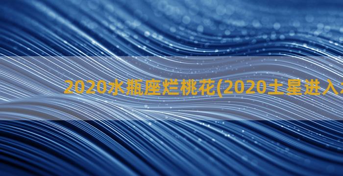 2020水瓶座烂桃花(2020土星进入水瓶座)