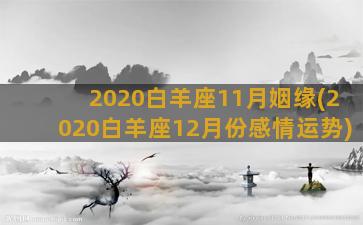 2020白羊座11月姻缘(2020白羊座12月份感情运势)