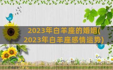 2023年白羊座的婚姻(2023年白羊座感情运势)