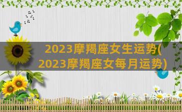 2023摩羯座女生运势(2023摩羯座女每月运势)