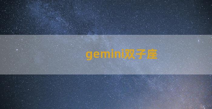 gemini双子座