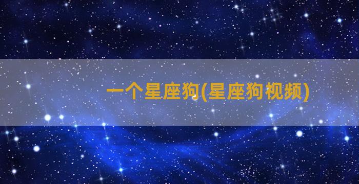 一个星座狗(星座狗视频)