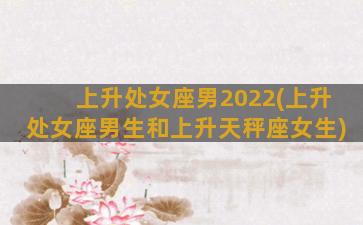 上升处女座男2022(上升处女座男生和上升天秤座女生)