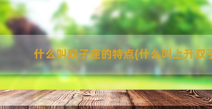 什么叫双子座的特点(什么叫上升双子座)