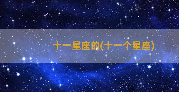 十一星座的(十一个星座)