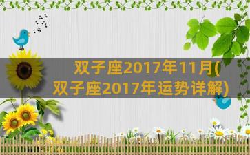 双子座2017年11月(双子座2017年运势详解)