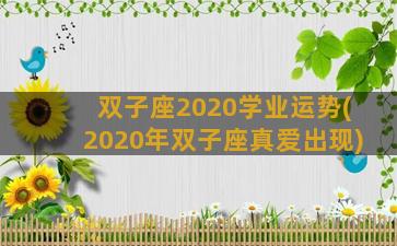 双子座2020学业运势(2020年双子座真爱出现)