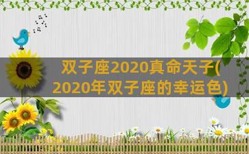 双子座2020真命天子(2020年双子座的幸运色)