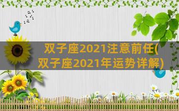 双子座2021注意前任(双子座2021年运势详解)