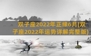 双子座2022年正缘6月(双子座2022年运势详解完整版)