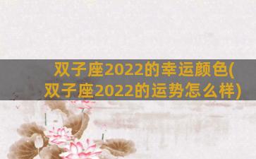 双子座2022的幸运颜色(双子座2022的运势怎么样)