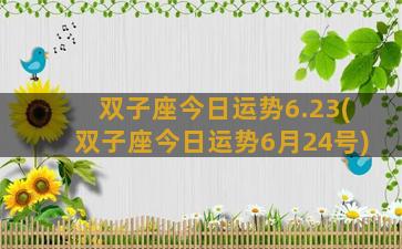 双子座今日运势6.23(双子座今日运势6月24号)