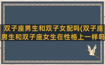 双子座男生和双子女配吗(双子座男生和双子座女生在性格上一样吗)