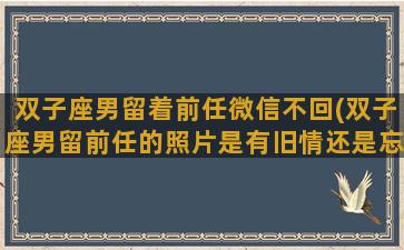 双子座男留着前任微信不回(双子座男留前任的照片是有旧情还是忘不了)