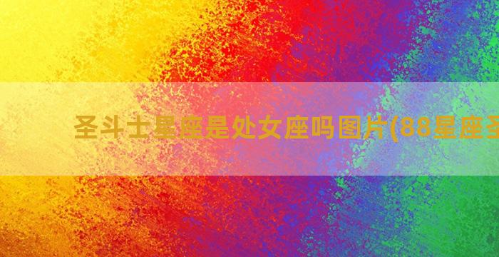 圣斗士星座是处女座吗图片(88星座圣斗士)