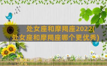 处女座和摩羯座2022(处女座和摩羯座哪个更优秀)