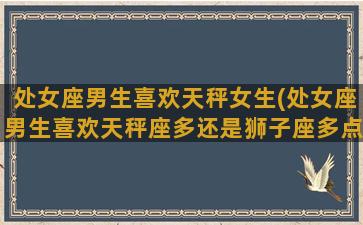 处女座男生喜欢天秤女生(处女座男生喜欢天秤座多还是狮子座多点)