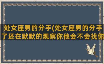 处女座男的分手(处女座男的分手了还在默默的观察你他会不会找你复合)