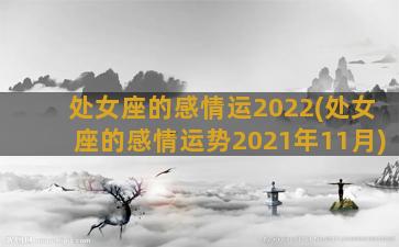 处女座的感情运2022(处女座的感情运势2021年11月)