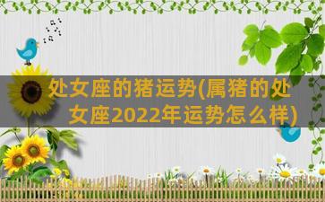 处女座的猪运势(属猪的处女座2022年运势怎么样)