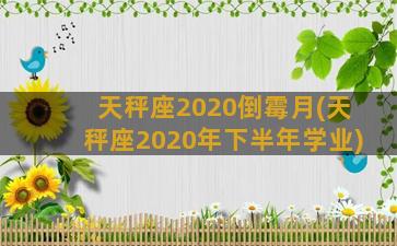 天秤座2020倒霉月(天秤座2020年下半年学业)