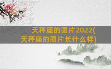 天秤座的图片2022(天秤座的图片长什么样)