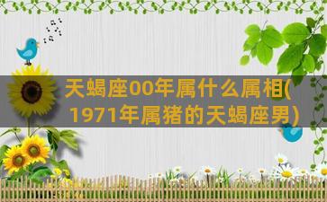 天蝎座00年属什么属相(1971年属猪的天蝎座男)