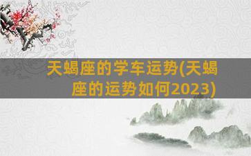 天蝎座的学车运势(天蝎座的运势如何2023)