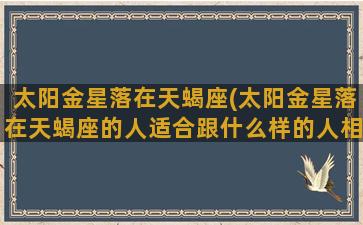 太阳金星落在天蝎座(太阳金星落在天蝎座的人适合跟什么样的人相处)