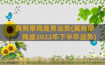 属狗摩羯座男运势(属狗摩羯座2022年下半年运势)