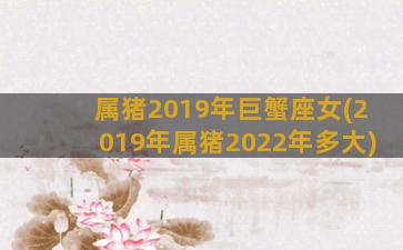 属猪2019年巨蟹座女(2019年属猪2022年多大)