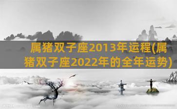 属猪双子座2013年运程(属猪双子座2022年的全年运势)