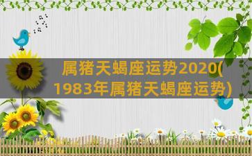 属猪天蝎座运势2020(1983年属猪天蝎座运势)