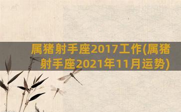 属猪射手座2017工作(属猪射手座2021年11月运势)