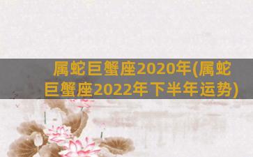 属蛇巨蟹座2020年(属蛇巨蟹座2022年下半年运势)