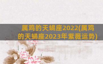 属鸡的天蝎座2022(属鸡的天蝎座2023年紫薇运势)