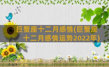 巨蟹座十二月感情(巨蟹座十二月感情运势2022年)