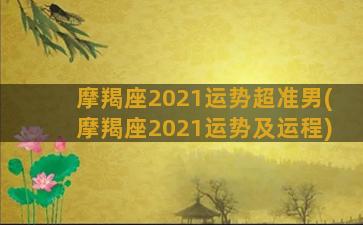 摩羯座2021运势超准男(摩羯座2021运势及运程)