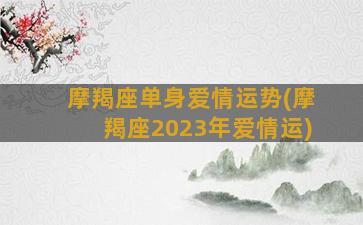 摩羯座单身爱情运势(摩羯座2023年爱情运)