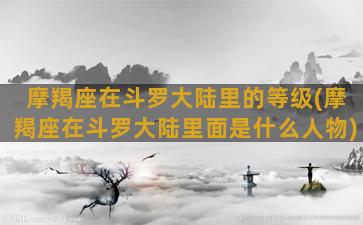 摩羯座在斗罗大陆里的等级(摩羯座在斗罗大陆里面是什么人物)