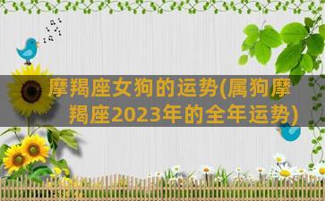 摩羯座女狗的运势(属狗摩羯座2023年的全年运势)