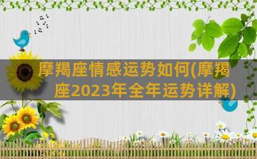 摩羯座情感运势如何(摩羯座2023年全年运势详解)